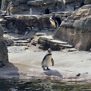 2025-End-of-Spring-Break-Seattle-Trip---19-of-31