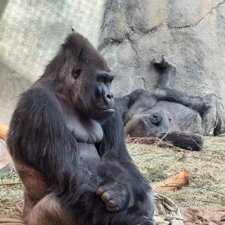 2025-End-of-Spring-Break-Seattle-Trip---23-of-31