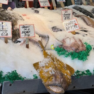 2025-End-of-Spring-Break-Seattle-Trip---3-of-31