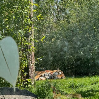 2025-End-of-Spring-Break-Seattle-Trip---31-of-31