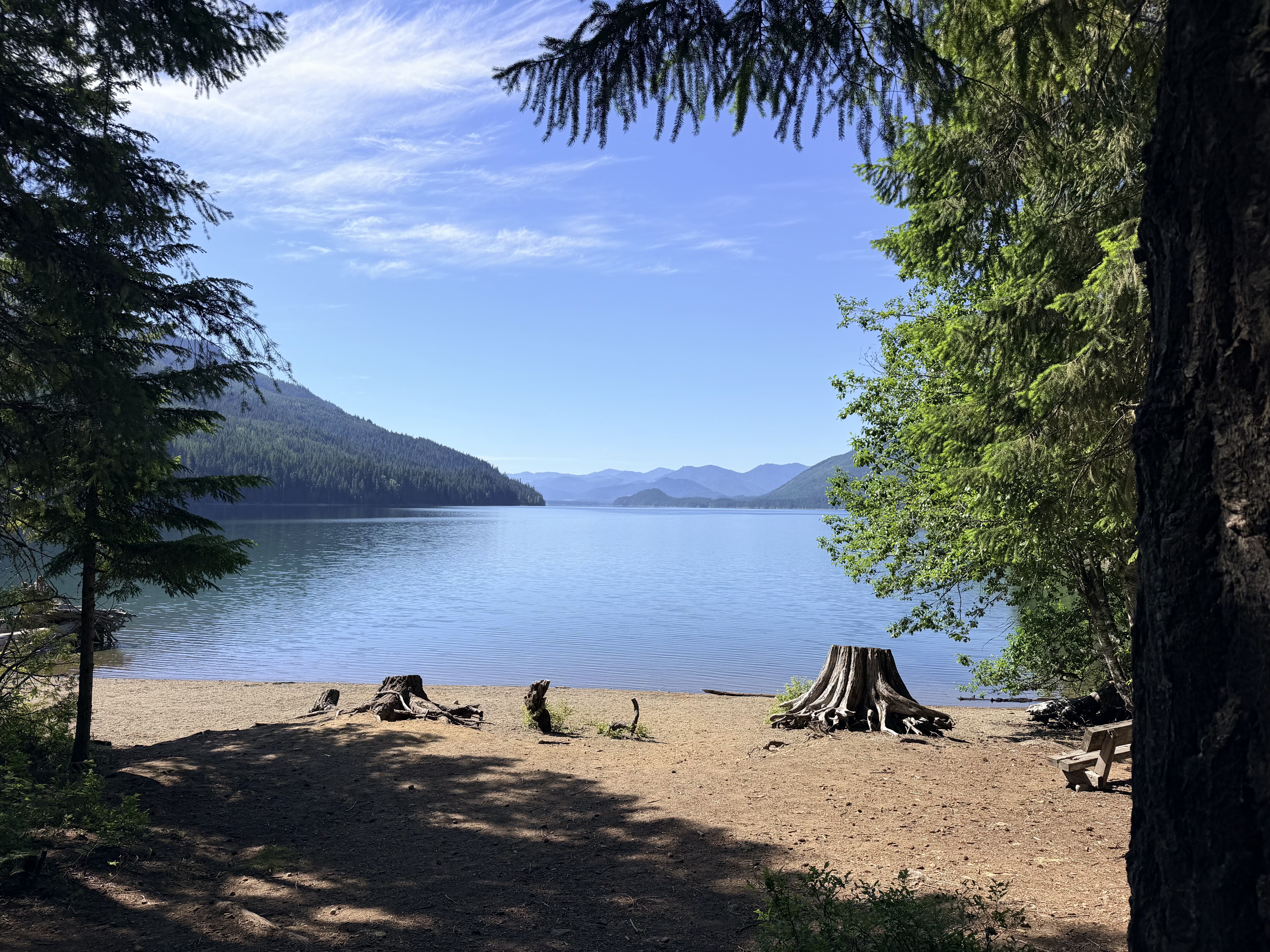 A sandy beach bordered by tall evergreen trees frames a clear alpine lake with distant mountains and blue sky.