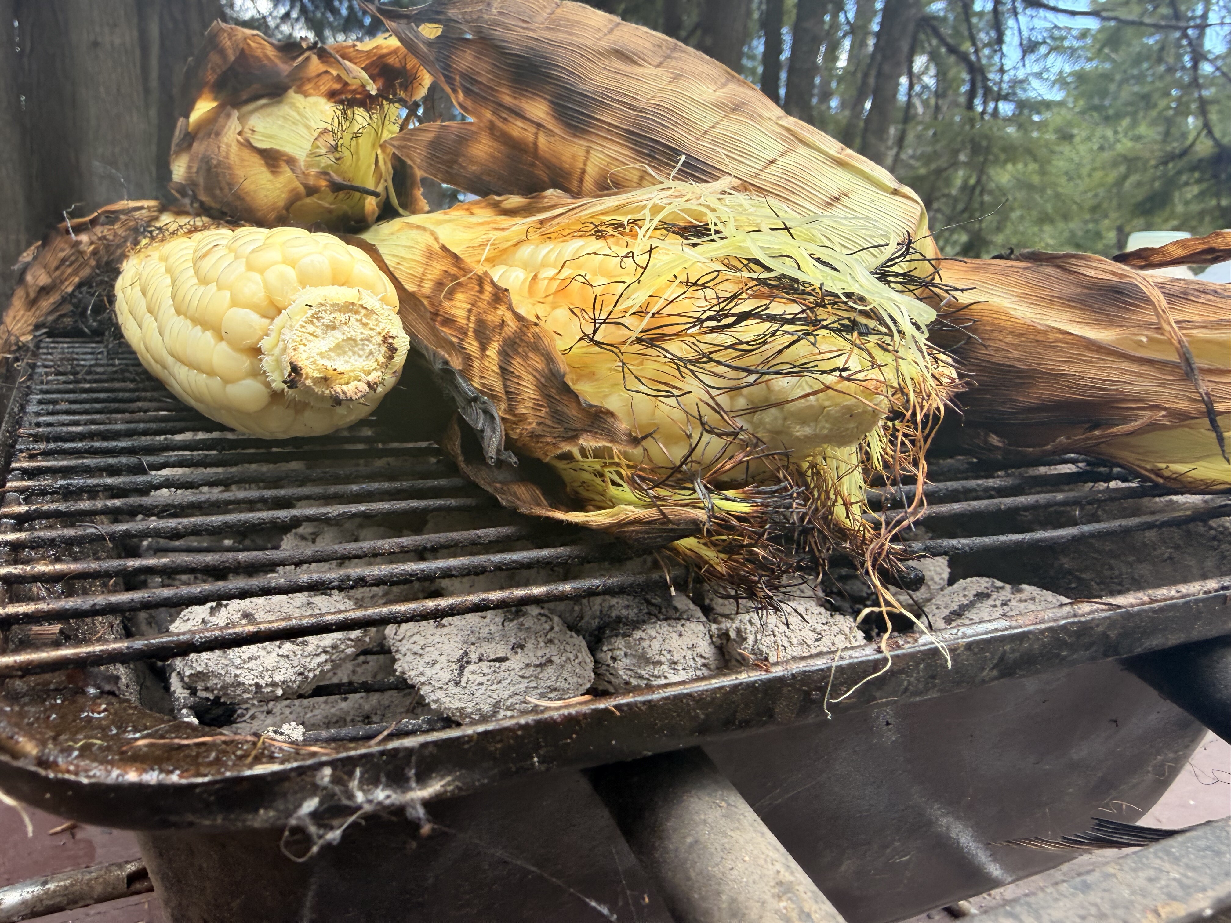 Grilled corn with charred kernels rests on a metal grill grate in a forest setting.