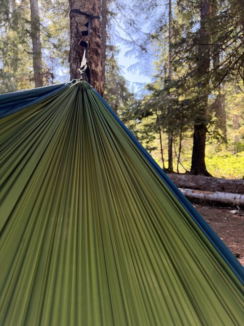 A green hammock with dark trim suspended from a tall tree in a sunlit forest surrounded by coniferous trees and filtered sunlight.