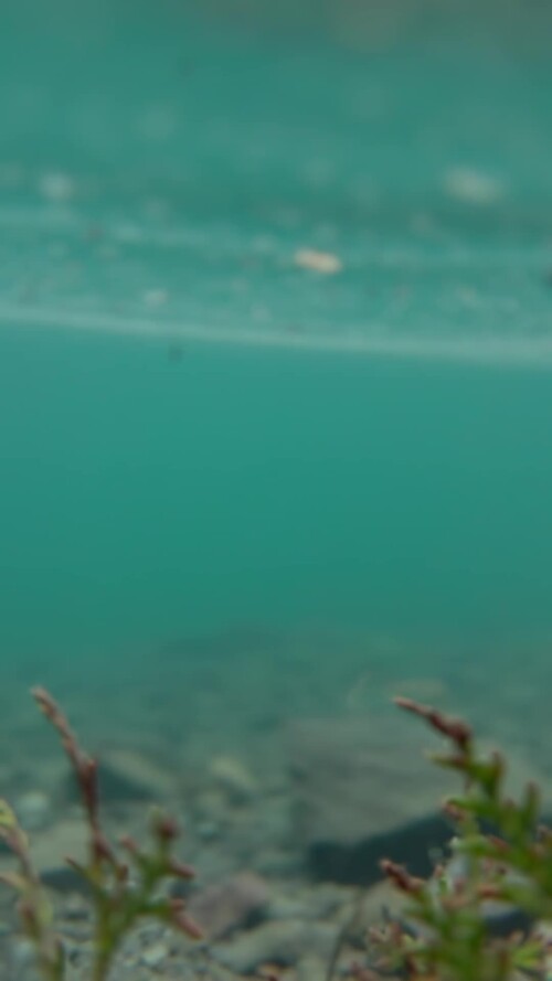 IMG_3044.mov