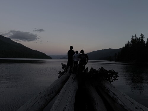 Silhouettes of three people stand on a weathered log extending into a calm alpine lake at dusk, with forested mountains visible across the water under a twilight sky.
