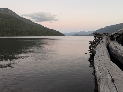 A still mountain lake surrounded by forested peaks with weathered driftwood extending into the calm water in the foreground, under an overcast sky.
