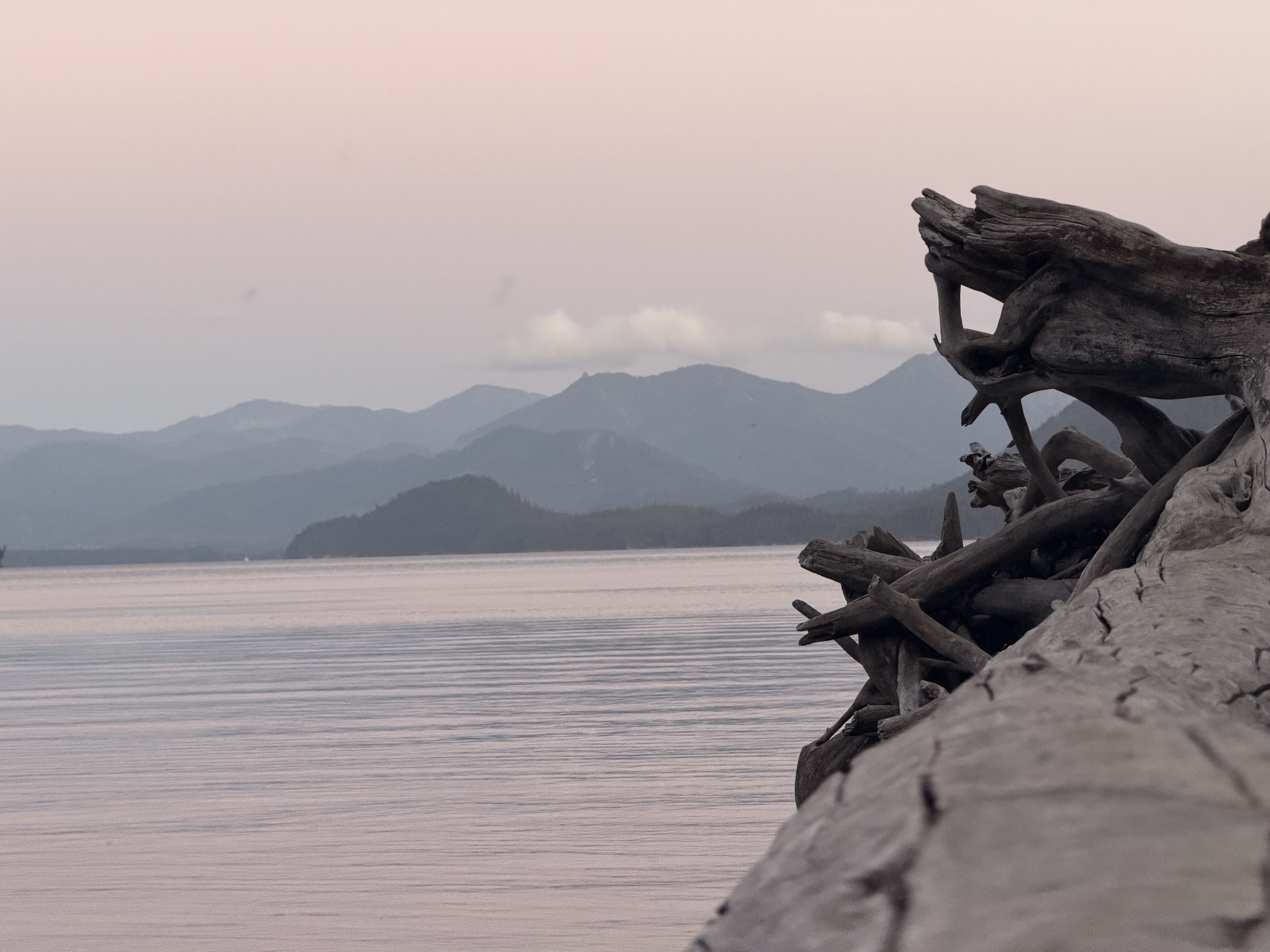 Gnarled driftwood roots protrude from a sandy beach overlooking a calm lake with misty mountains visible across the water under an overcast sky.