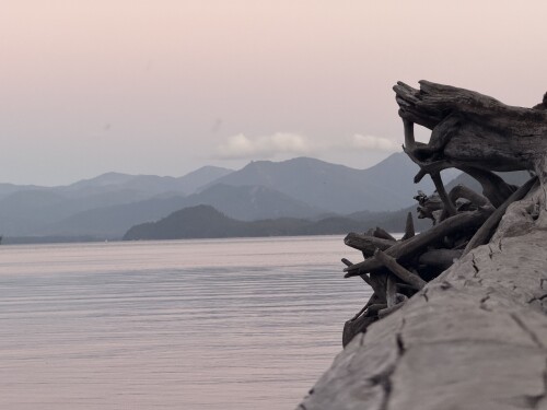Gnarled driftwood roots protrude from a sandy beach overlooking a calm lake with misty mountains visible across the water under an overcast sky.