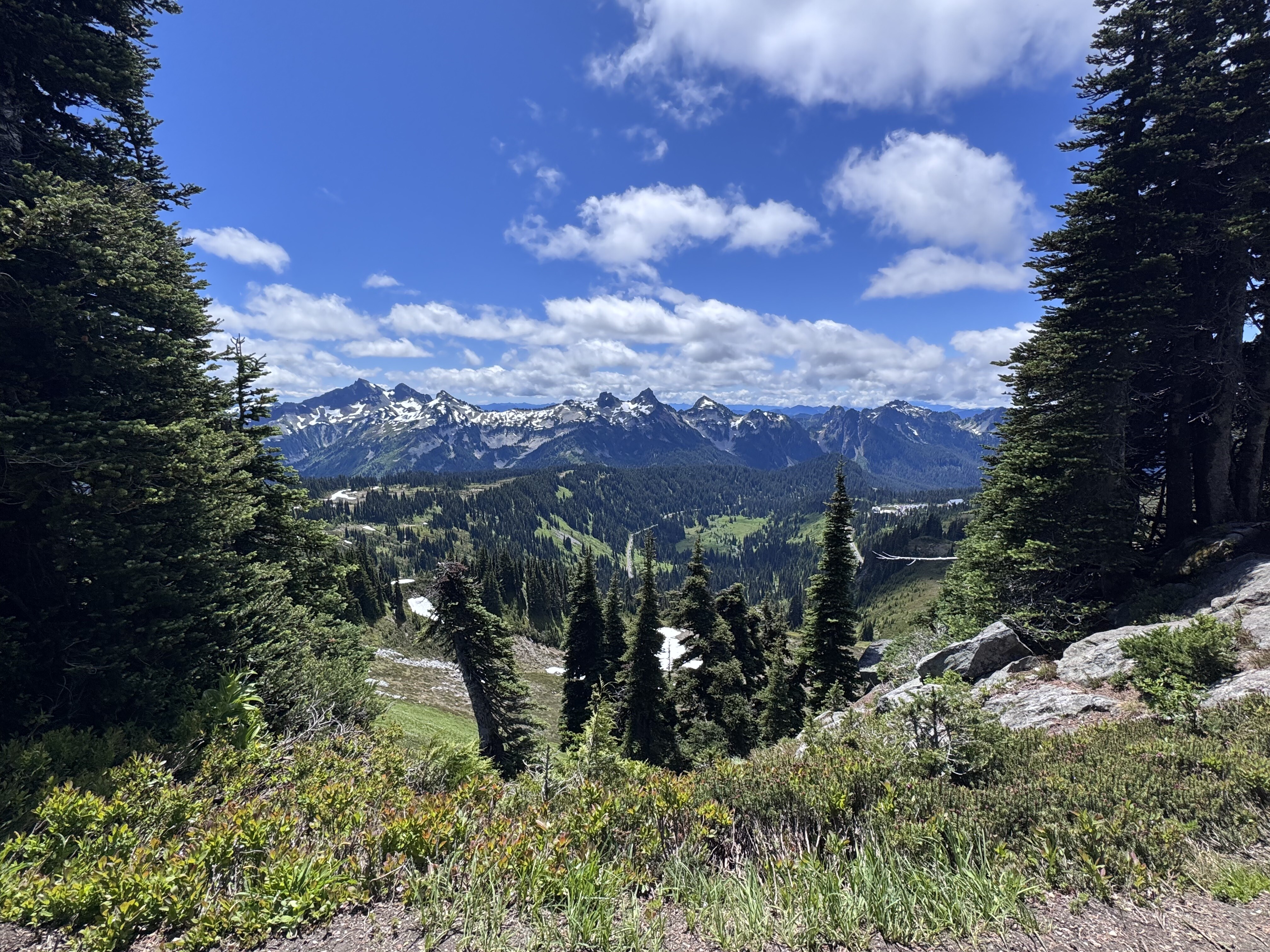 A scenic alpine valley landscape viewed from a high vantage point, with snow-capped mountain peaks in the distance, evergreen forest lining the sides, green meadows and a winding stream in the valley below, and a blue sky with white clouds overhead.