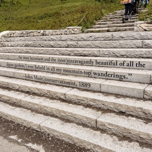 Stone outdoor steps with an engraved quote by naturalist John Muir from 1889 praising alpine gardens as the most beautiful he had encountered.