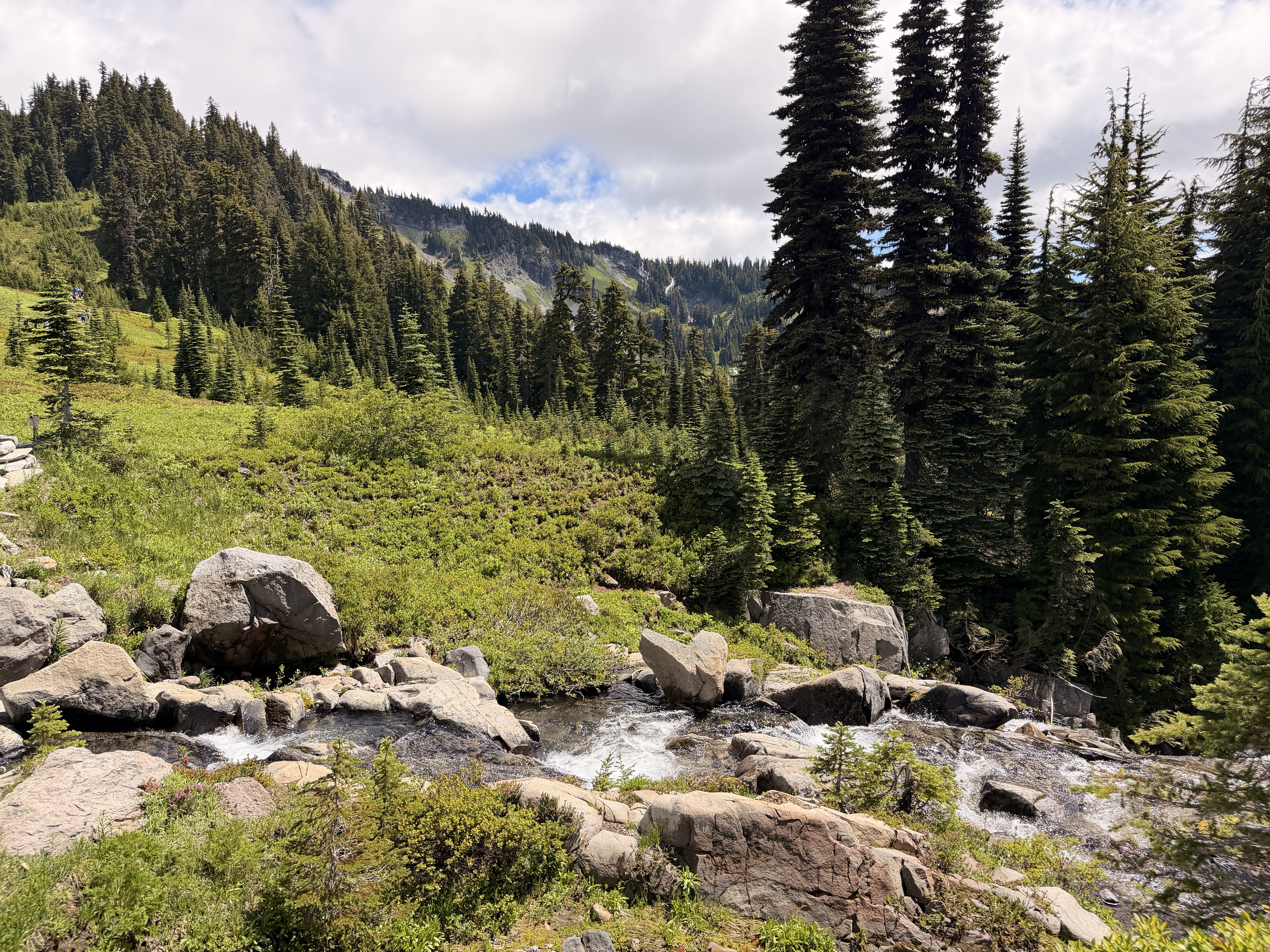 A rocky alpine meadow with scattered boulders overlooks densely forested mountain slopes with evergreen trees under a partly cloudy sky.