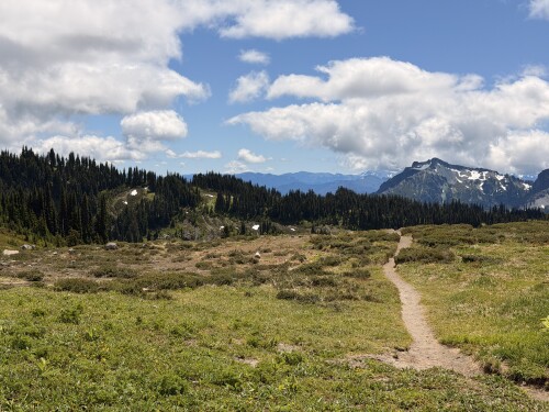 A winding hiking trail cuts through an alpine meadow with coniferous forest and snow-capped mountains visible under a partly cloudy sky.
