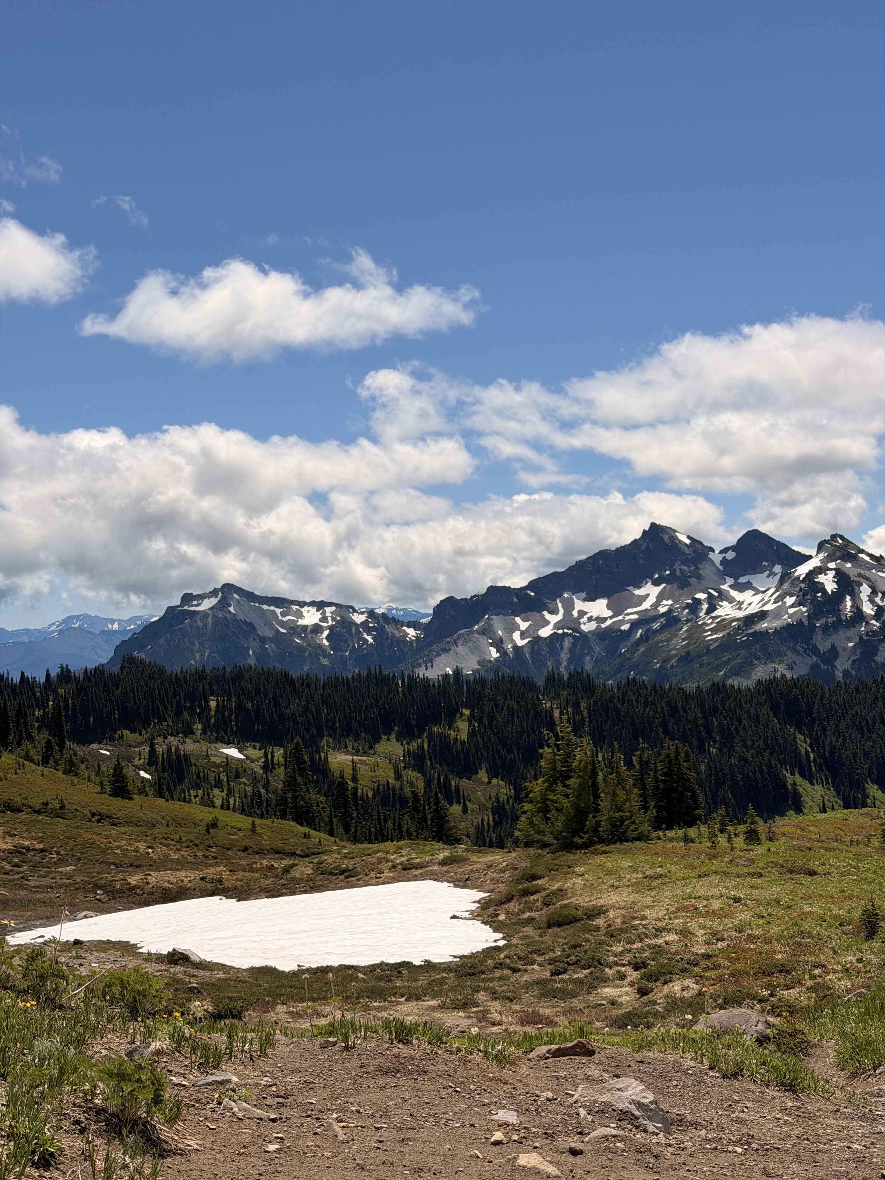 A snow-capped mountain range with coniferous forests rises behind a foreground alpine meadow containing patches of snow and sparse vegetation under a blue sky with white clouds.