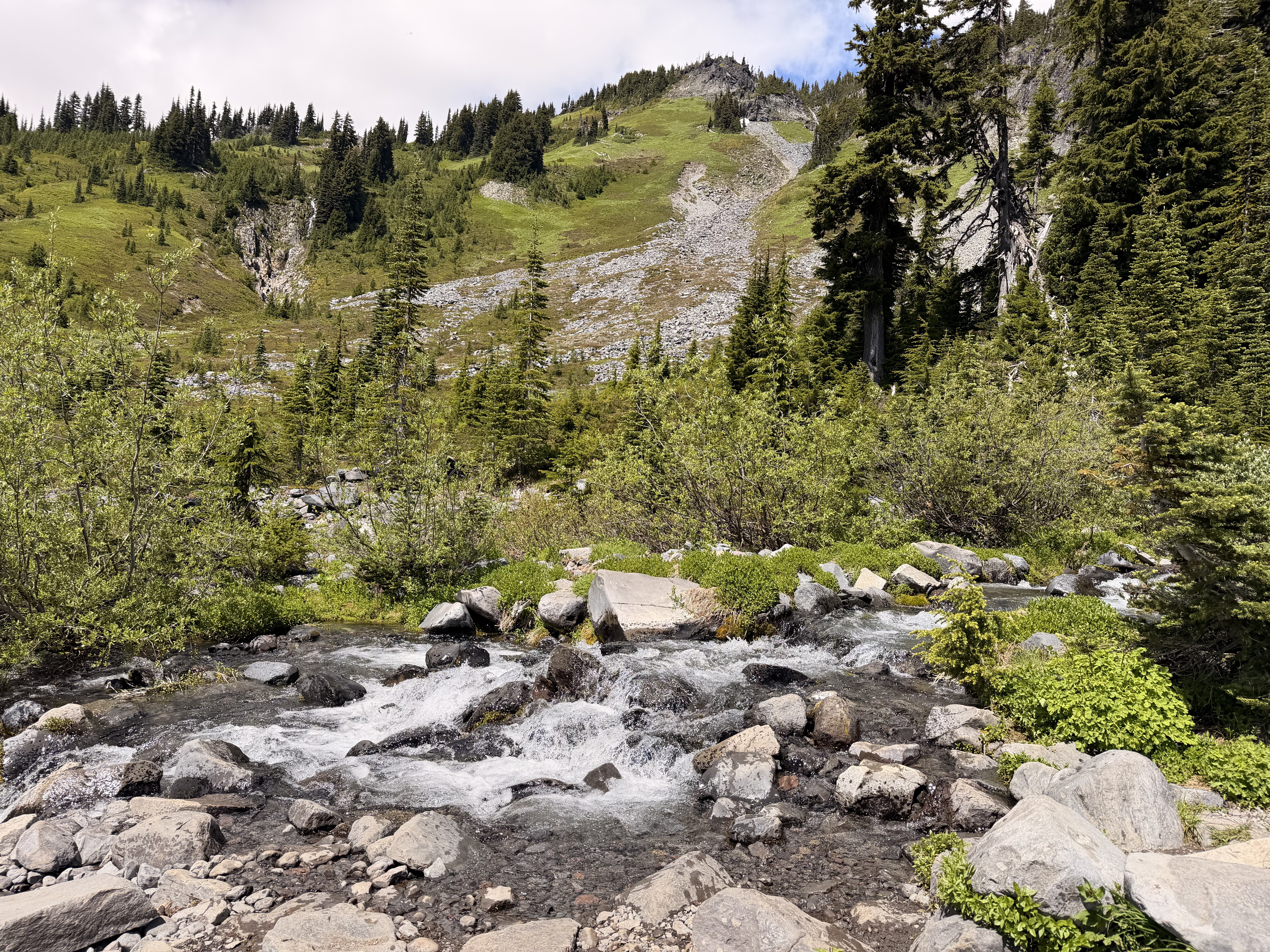 A mountain stream flows over boulders and rocks in a forested valley, with coniferous trees covering rolling hillsides and winding trails visible on the distant slopes.