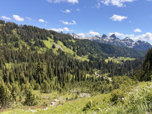 A mountain valley landscape features dense coniferous forest covering rolling green hills with snow-capped peaks visible in the distance under a clear blue sky.