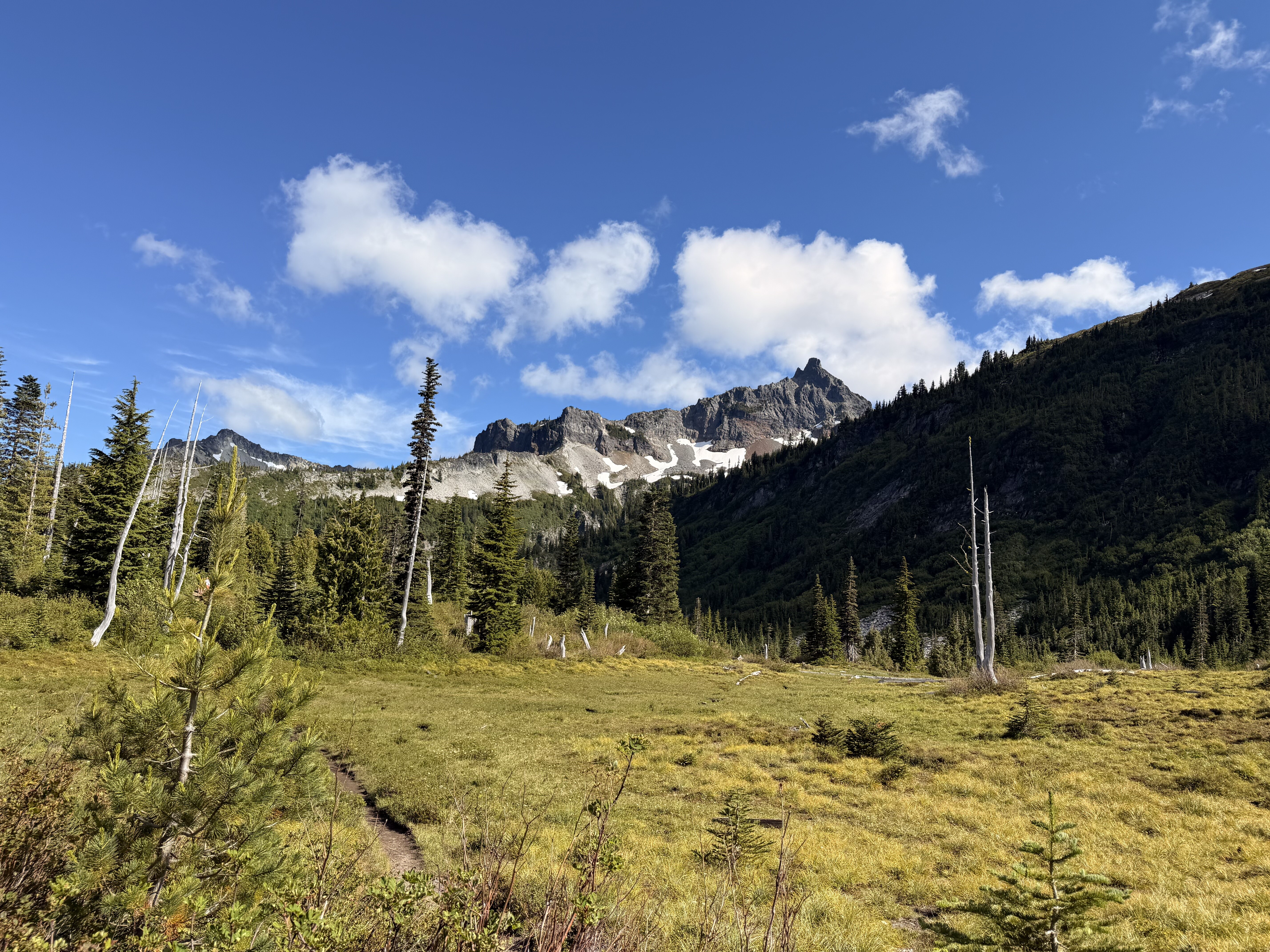 A green alpine meadow with scattered evergreen trees and rocky mountain peaks in the distance under a partly cloudy blue sky.