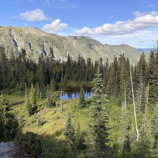 IMG_3334