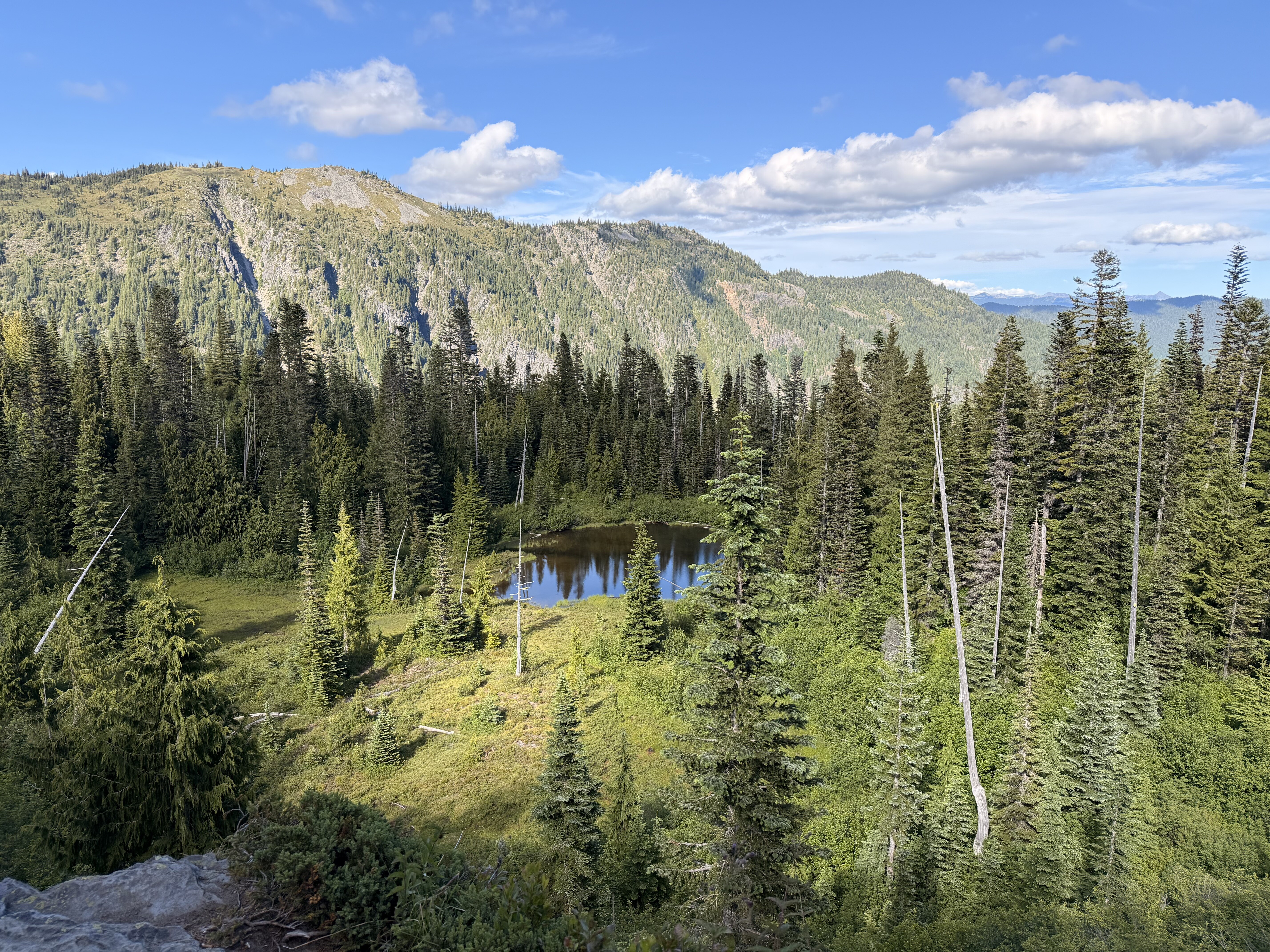 Aerial view of an alpine meadow with a small lake surrounded by dense coniferous forest and mountains beneath a blue sky with white clouds.
