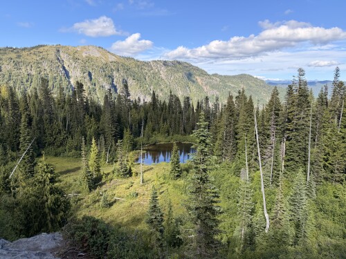 Aerial view of an alpine meadow with a small lake surrounded by dense coniferous forest and mountains beneath a blue sky with white clouds.
