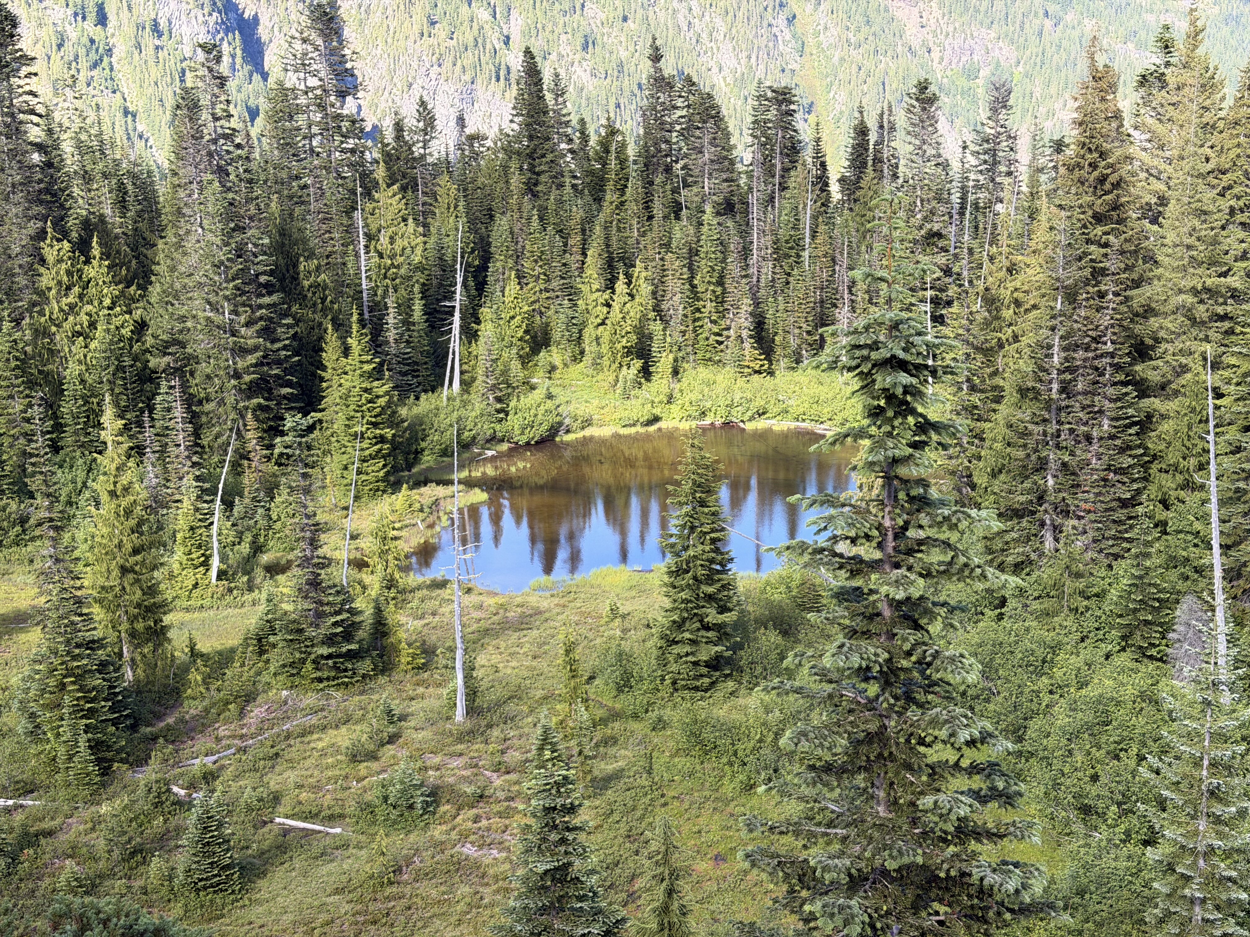 A small alpine lake surrounded by dense coniferous forest on a mountainside, with the water reflecting blue sky and tall evergreen trees visible on the slopes above and around it.