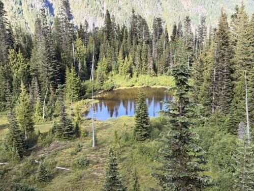 A small alpine lake surrounded by dense coniferous forest on a mountainside, with the water reflecting blue sky and tall evergreen trees visible on the slopes above and around it.