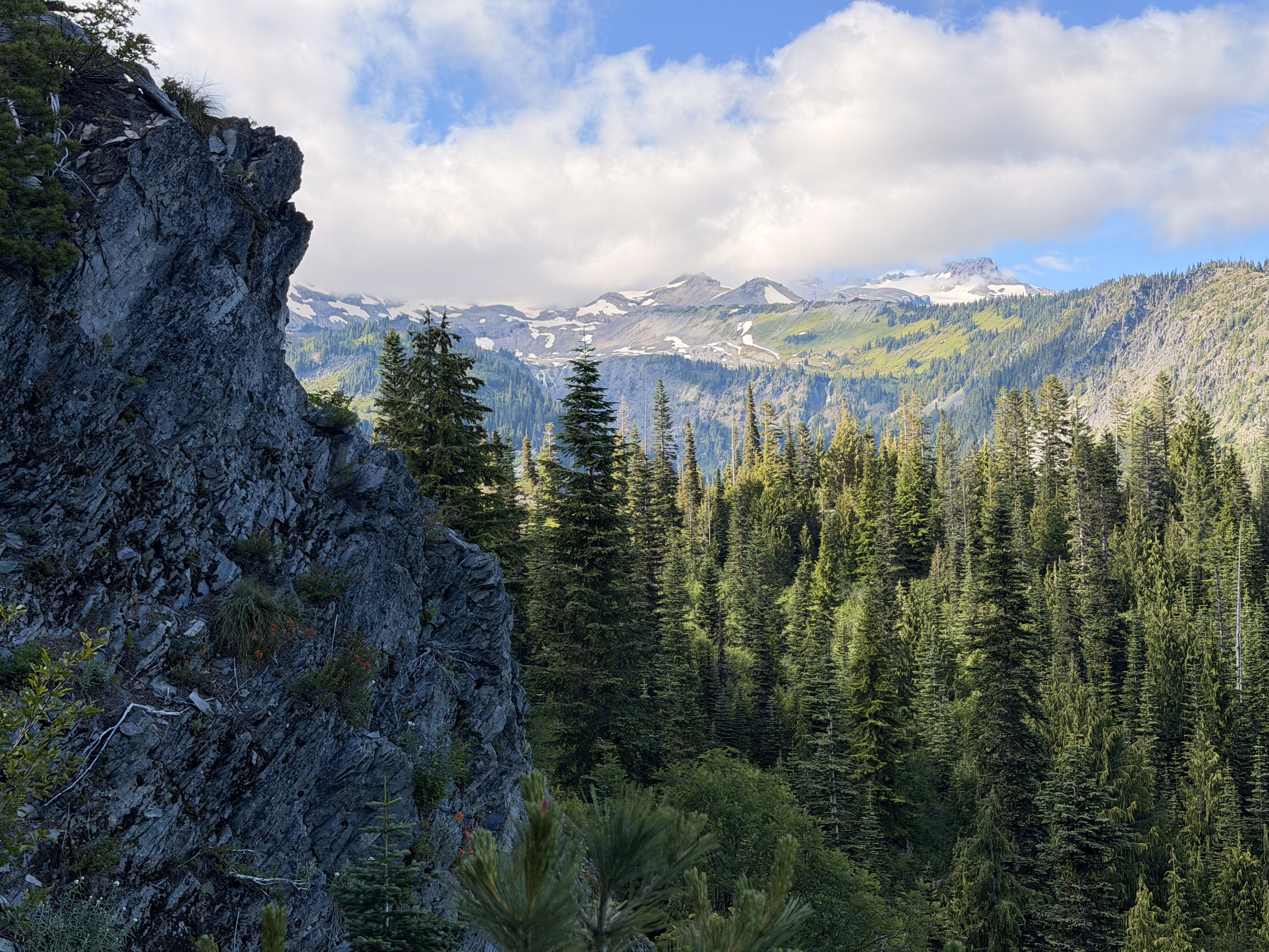 Rocky mountain peak with dense coniferous forest and snow-capped peaks visible in the distant background under a partly cloudy sky.